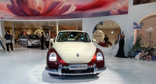 長城汽車大動作 趙永坡接管歐拉，能否再創(chuàng)銷量神話？